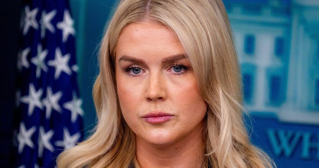 MSNBCホスト：プーチン大統領が出会った後、カロライン・リービットは「アシェン」に見えた