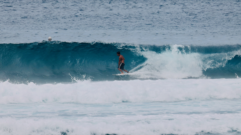 スクリーンショット 2025-08-02 8.38.40