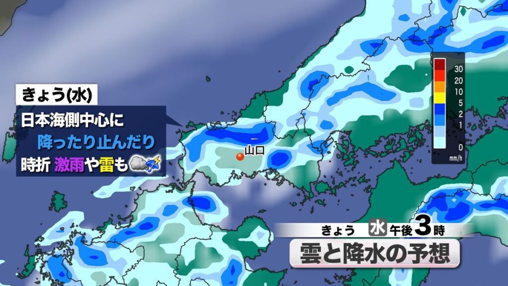 共有