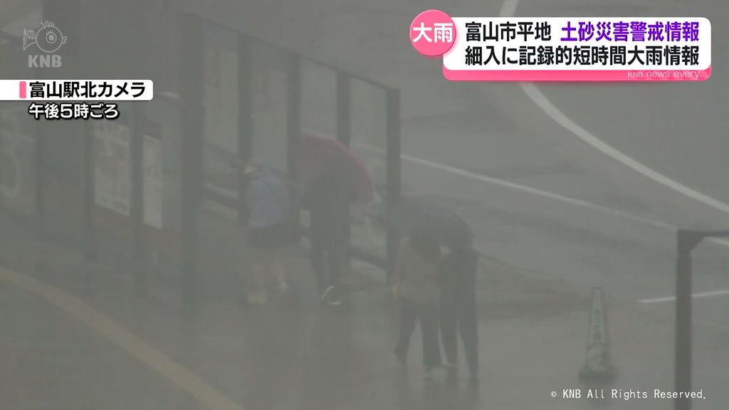 共有