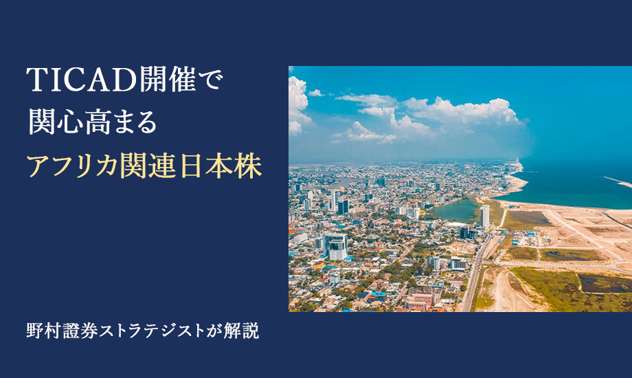 TICAD開催で関心高まるアフリカ関連日本株　野村證券ストラテジストが解説のイメージ