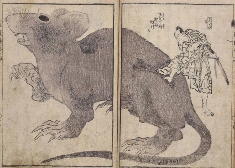 adf-web-magazine-hokusai-shimane-museum-3