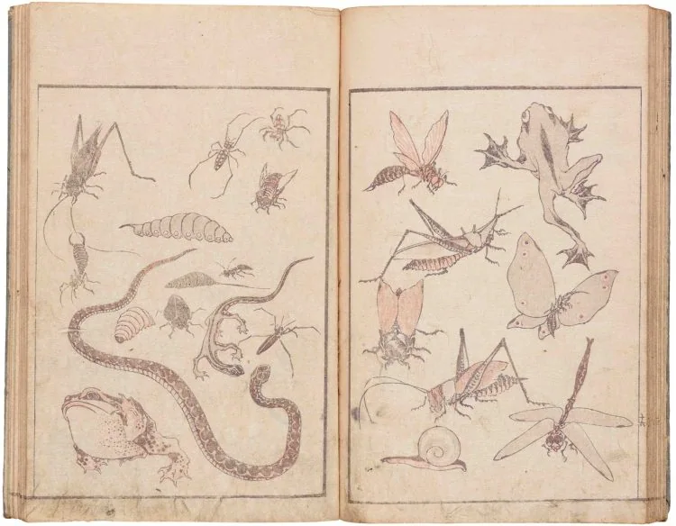 adf-web-magazine-hokusai-shimane-museum-5