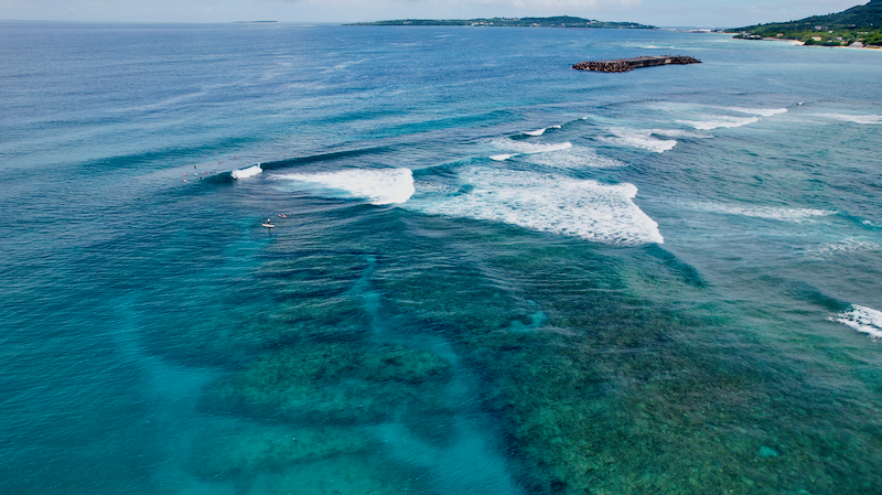 スクリーンショット 2025-08-02 8.44.36