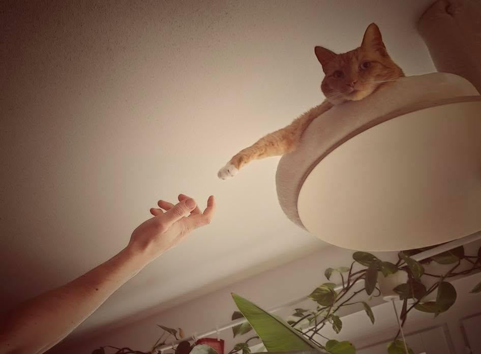 どうやら神の税金で生きています