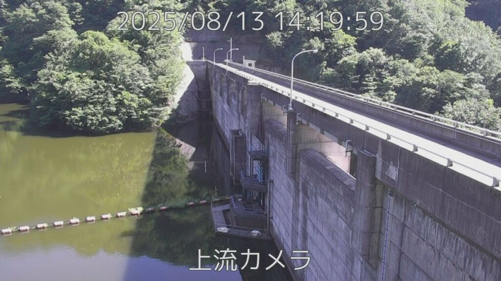 共有
