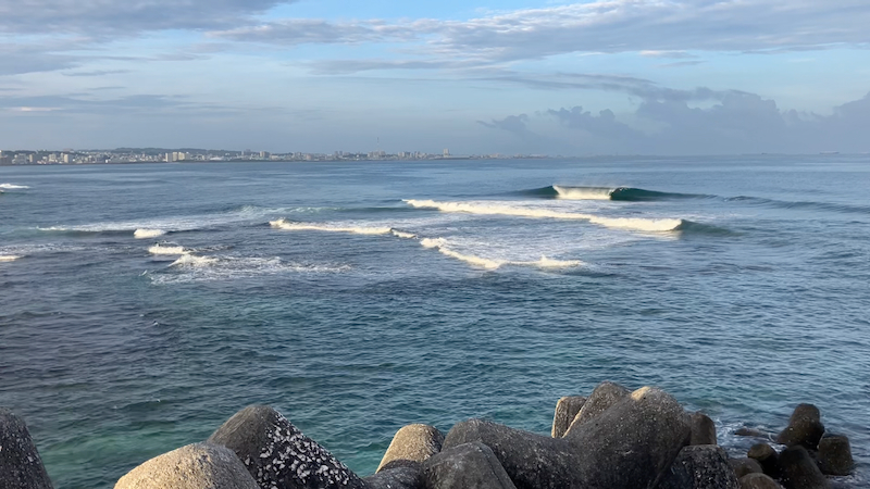 スクリーンショット 2025-08-02 5.27.22