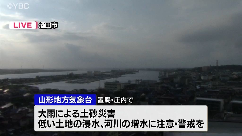 共有