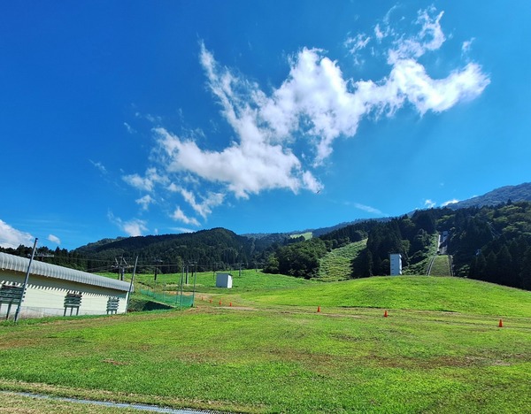 36　SUMMER　FESTIVAL6