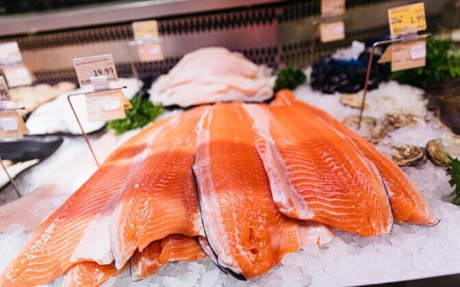 タルトゥ大学は、魚を食べる塊で130万人を探しています