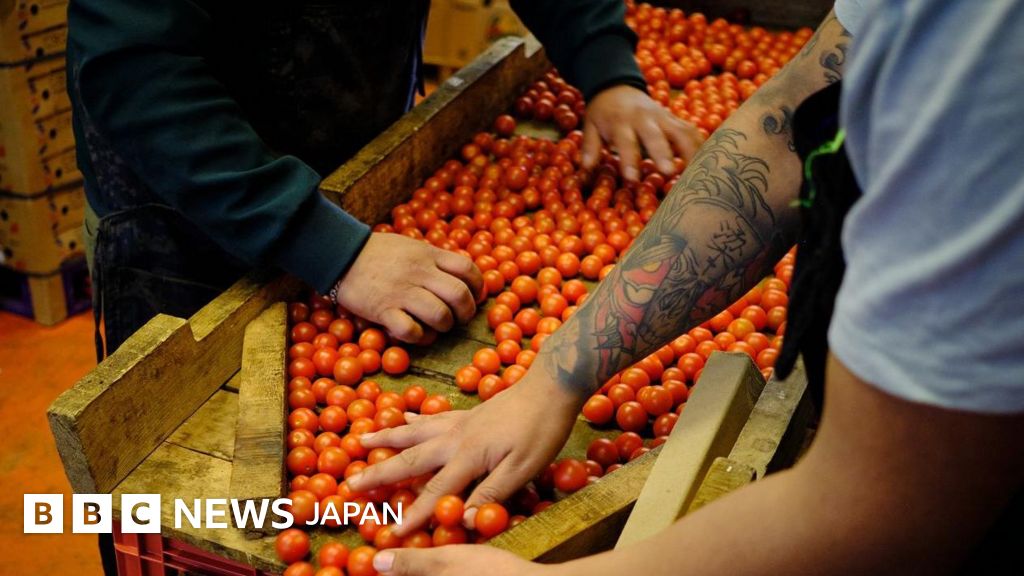衝撃と安心と……トランプ氏の新関税に各国の企業がさまざまな反応 - BBCニュース