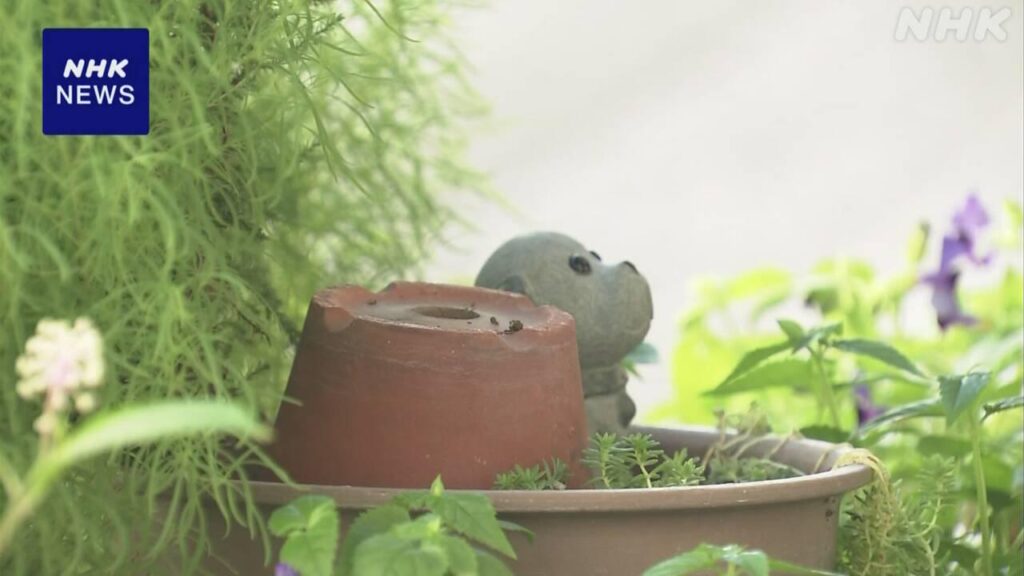 アンパンマンの石像無くなる「こっそりとでもいいから返して」 高知県高知市