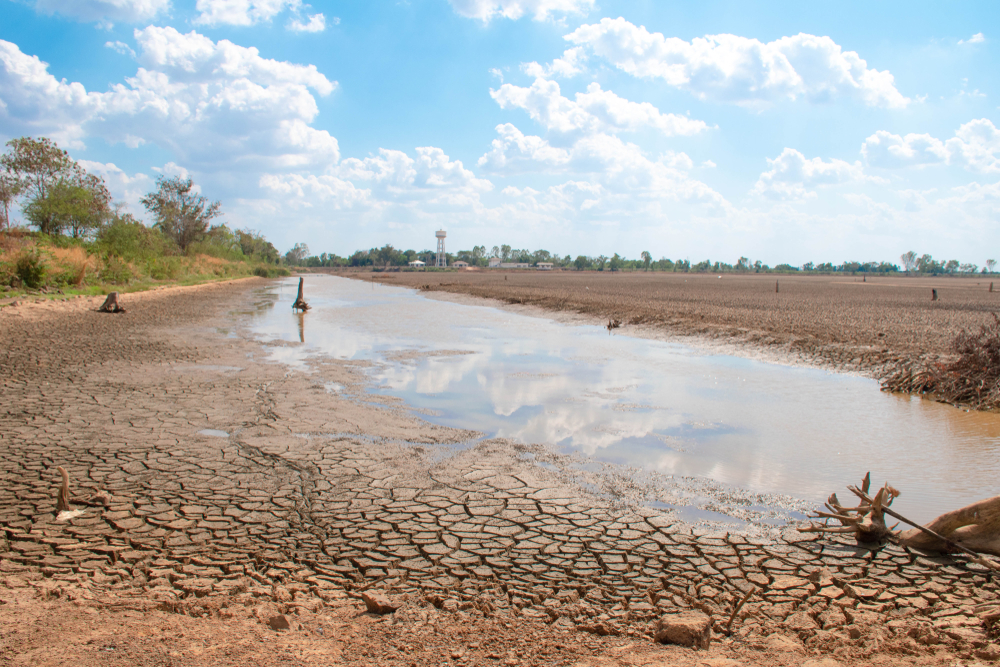 【イギリス】イングランド地方、旱魃「重大事態」宣言。古いメールや画像の削除も推奨 | Sustainable Japan
