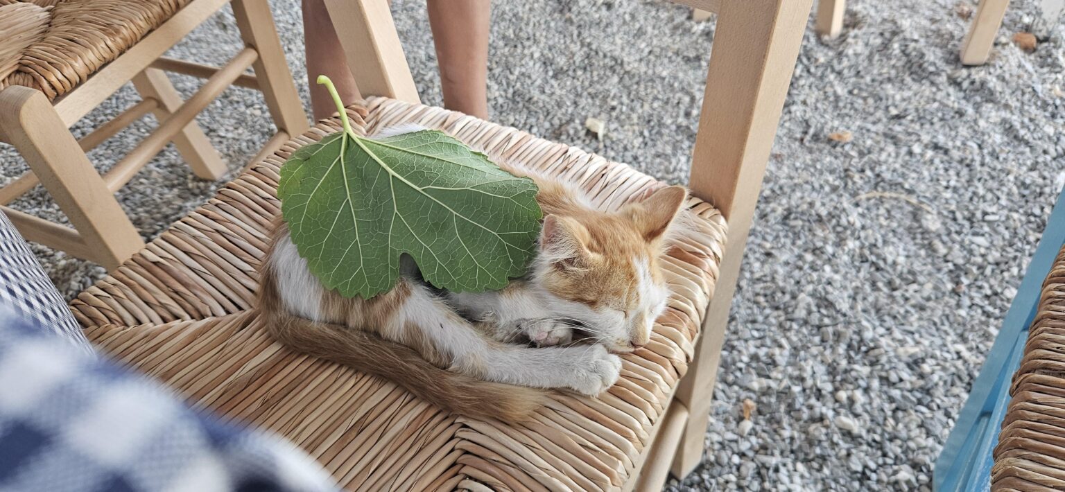halk