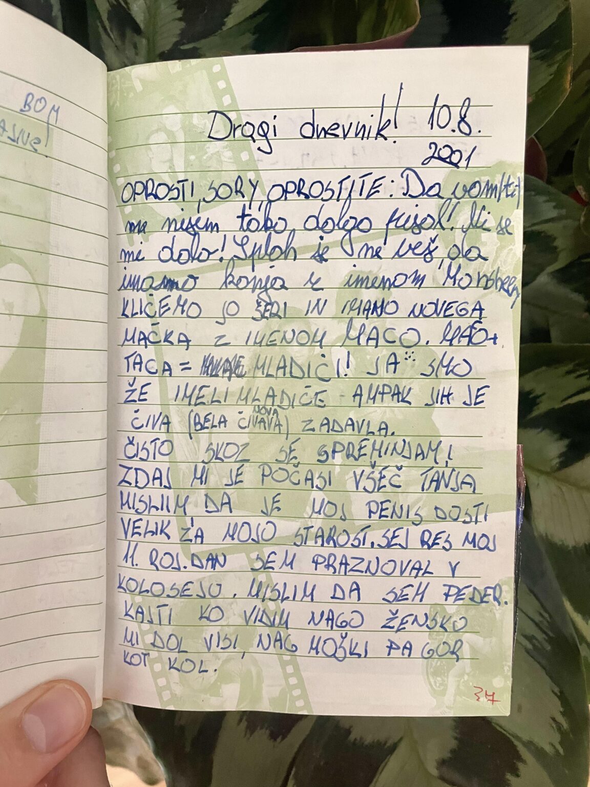 インターネットにアクセスできない11歳の混乱した少年の日記