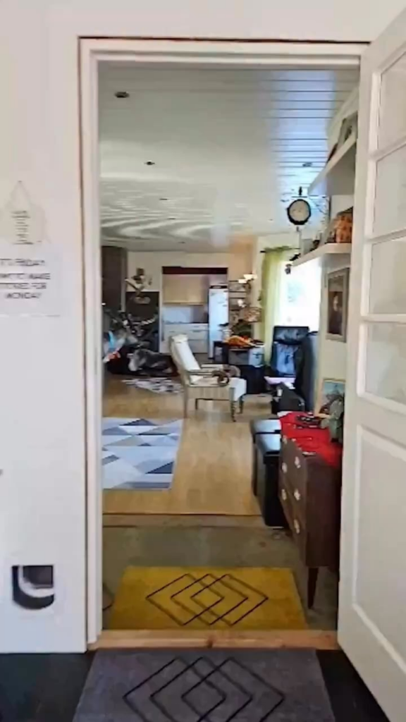 ああ鹿。