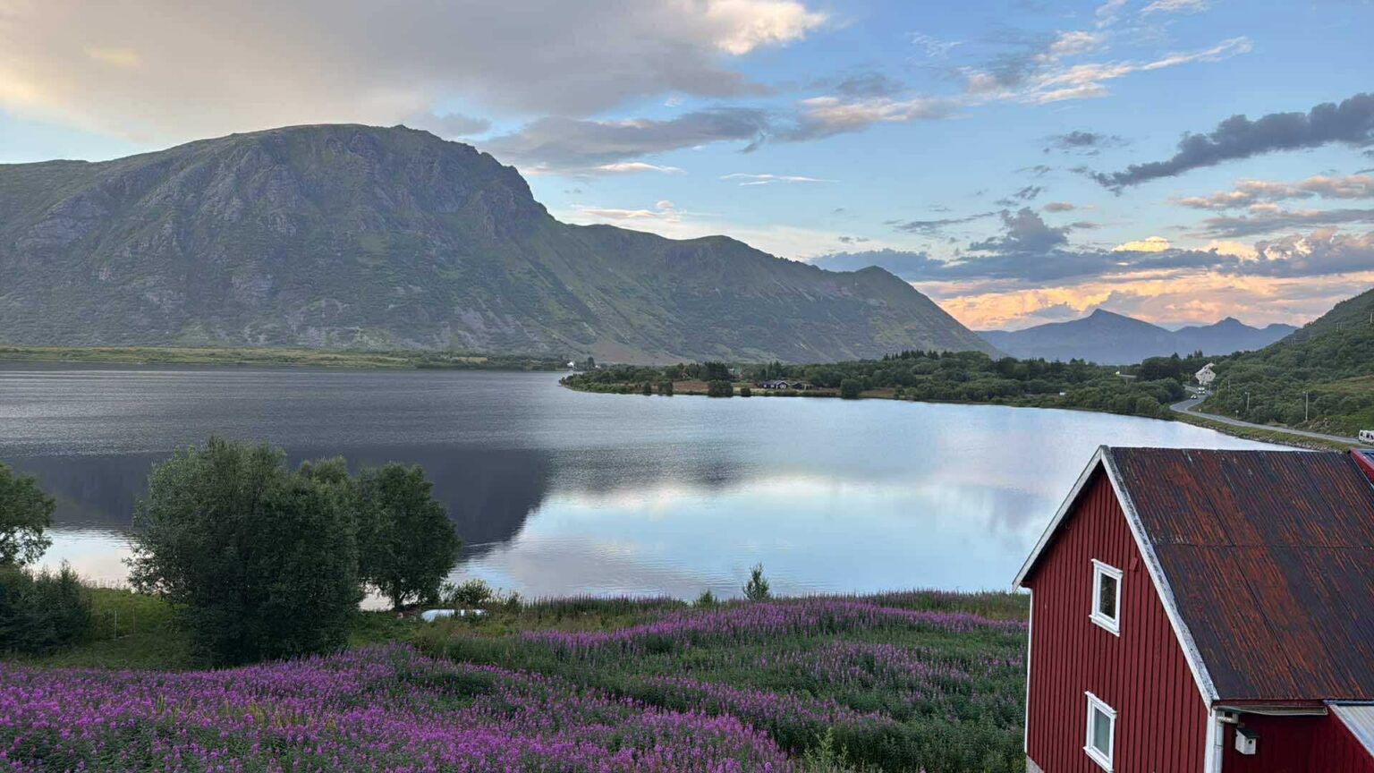 ロフォーテン・アイランド、北極圏でスイミング　ノルウエイしばしの夏を謳歌　Beautiful summer in the Lofoten Islands｜EXPAT by クーリエ・ジャポン