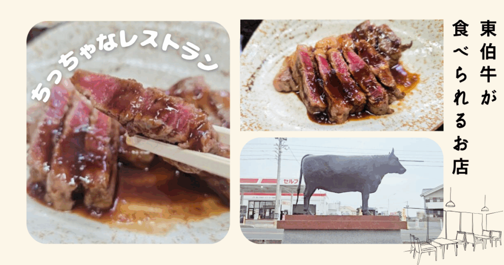 東伯牛の美味しさを味わえる「ちっちゃなレストラン」家庭的なお店 | 鳥取マガジン
