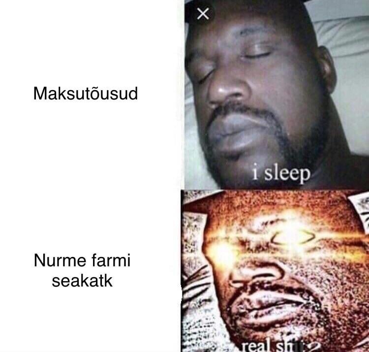エストニア人の雰囲気