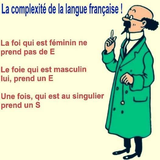 ベルギーにいて、フランス語を理解しようとすることは