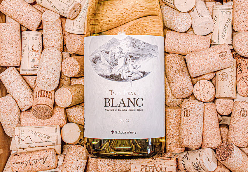 茨城県産ぶどう100％を使ったワインでは初の快挙！「日本ワインコンクール」でツイン ピークス ブラン2024が銀賞受賞！｜ニューズウィーク日本版 オフィシャルサイト