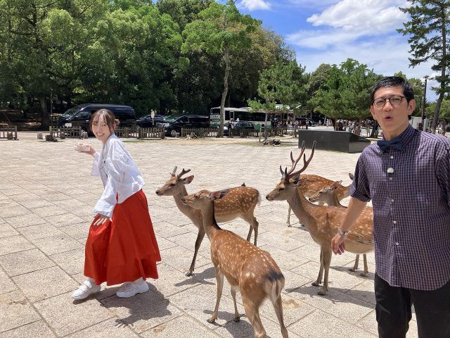 須田亜香里、鹿に大苦戦　奈良旅、かき氷“夢のコラボ”にも出会う | | ORICON NEWS