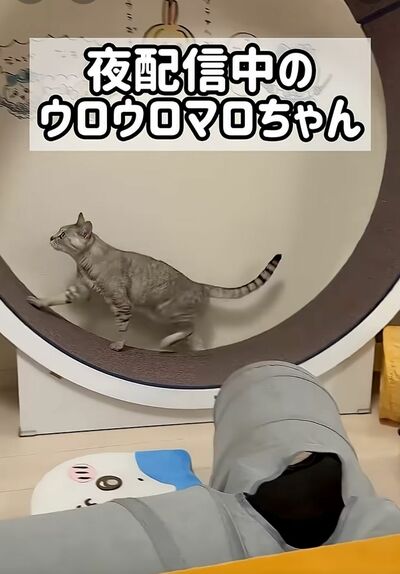 投稿の画像