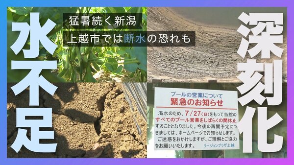 猛暑続く新潟…特産・枝豆に影響 上越市では“水不足”深刻化で断水の恐れ…市内8カ所のプールは利用休止に「早く雨降って」｜FNNプライムオンライン - FNNプライムオンライン