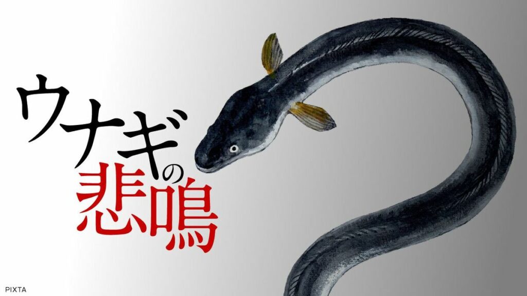 EUがワシントン条約にニホンウナギの掲載を提案。11月の会議で採択されれば国際取引に影響も･･･ウナギ関連業や日本の食文化はどうなる？ | 特集 | 東洋経済オンライン