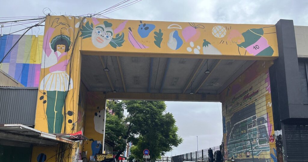 日本人YouTuberが首絞め強盗に襲われた！現地人が「絶対に行くな」と警告するアルゼンチン最凶のスラム街に潜入【ビジャ31探訪記・前編】 | 美しき衰退 | ダイヤモンド・オンライン