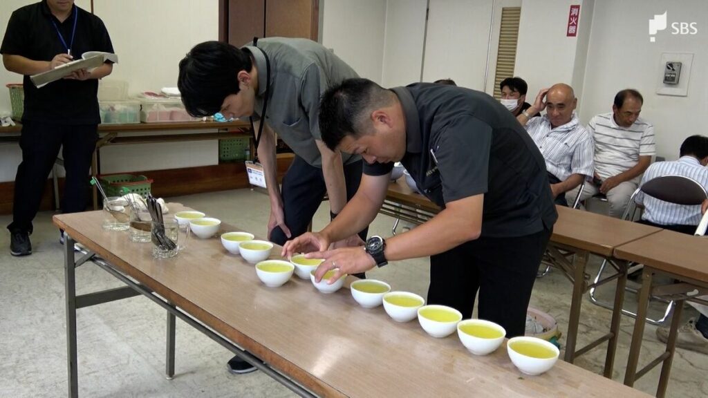 「味は負けていない」静岡市・玉川茶 一番茶品評会 全国2位陥落は冷静な受け止め=静岡市・葵区 | 静岡のニュース | SBSNEWS | 静岡放送 - TBS NEWS DIG