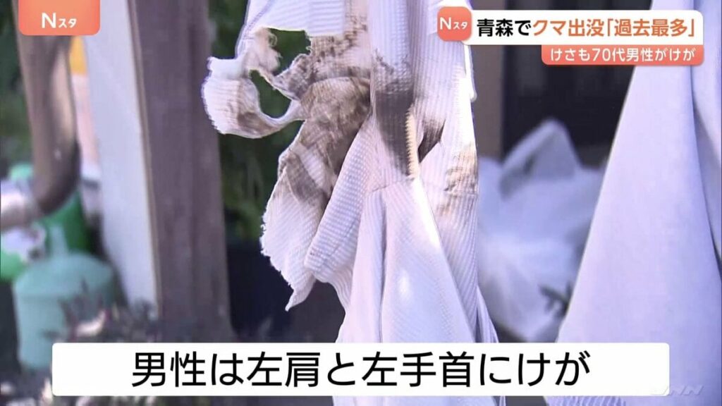熊の出没数が青森県で過去最多に…1160件で2023年上回る 弘前市では70代男性が路上で襲われけが 先月も女性襲われる | TBS NEWS DIG - TBS NEWS DIG