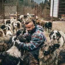 ドナーへの警告：犬のsave bihとブルーノ・ジェロヴィッチについての疑い