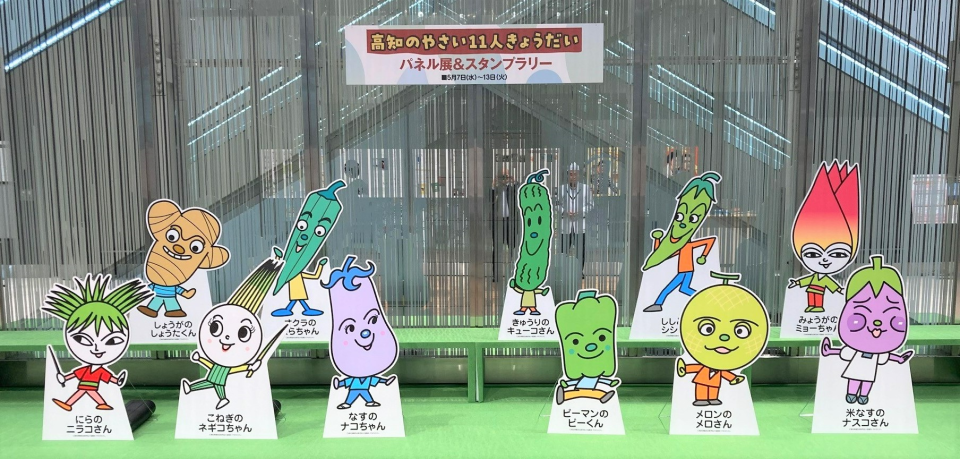 高知の野菜11人きょうだいの画像