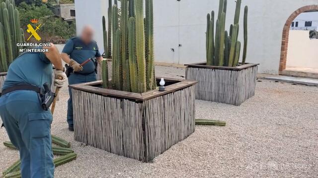 幻覚剤を提供する「スピリチュアル研修会」摘発 スペイン