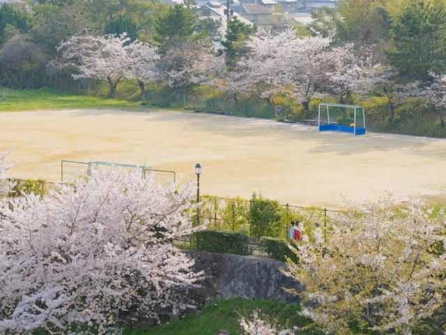 出身と聞いてすごいと思う「奈良の公立進学校」ランキング！ 「郡山高等学校」を抑えた1位は？