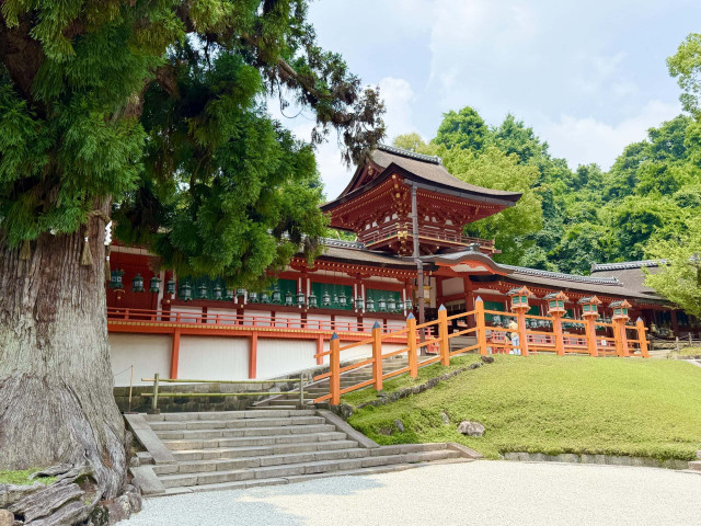 【大人の奈良】願いごとやお悩みがあるなら奈良・春日大社をじっくりお参りして！ 「究極の国宝 大鎧展」も開催中（大人のおしゃれ手帖web）｜ｄメニューニュース（NTTドコモ）