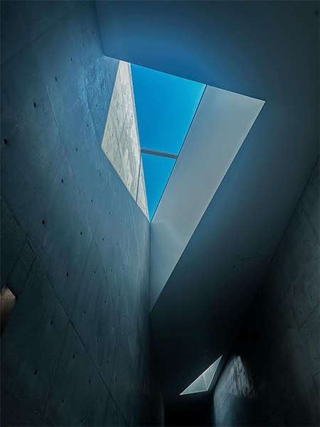 「直島新美術館」館内