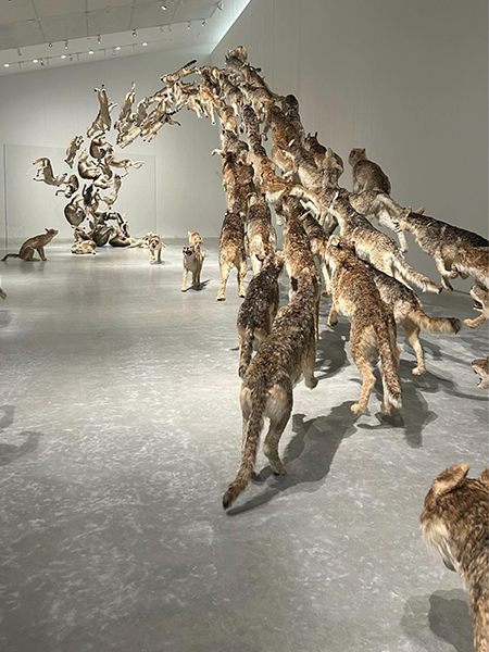 「直島新美術館」蔡國強（Cai Guo-Qiang）さんの作品《ヘッド・オン》2006 年