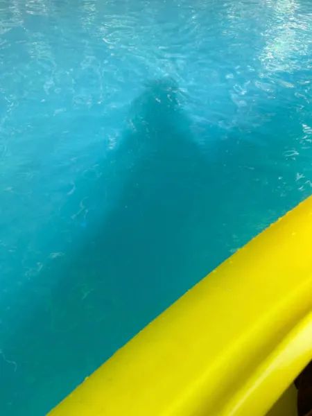 群馬県中之条町の「四万湖」