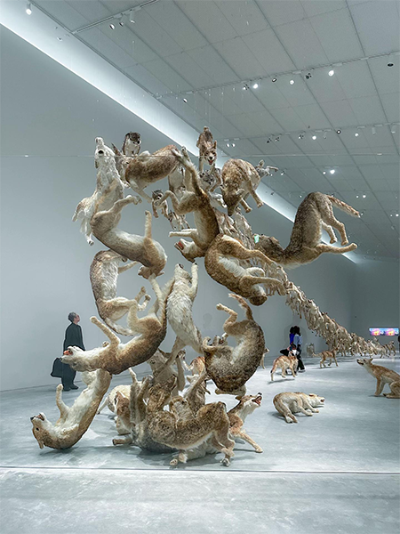 「直島新美術館」蔡國強（Cai Guo-Qiang）さんの作品《ヘッド・オン》2006 年