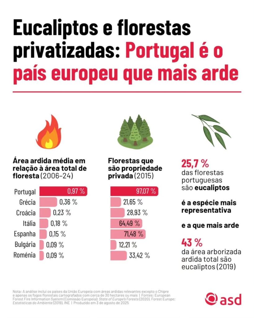 ユーカリと民営化された森林：ポルトガルは最も燃えるヨーロッパの国です