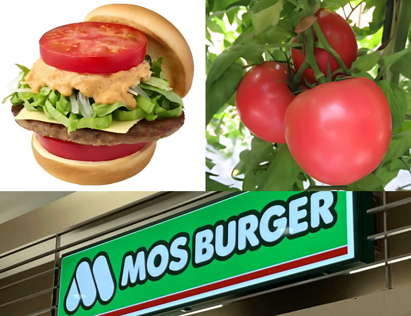 神石高原のとまとをガブッ！モスバーガー広島県内29店舗で1週間限定