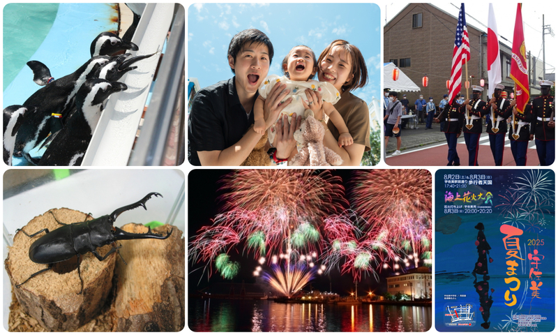 カブトムシ・クワガタワールド