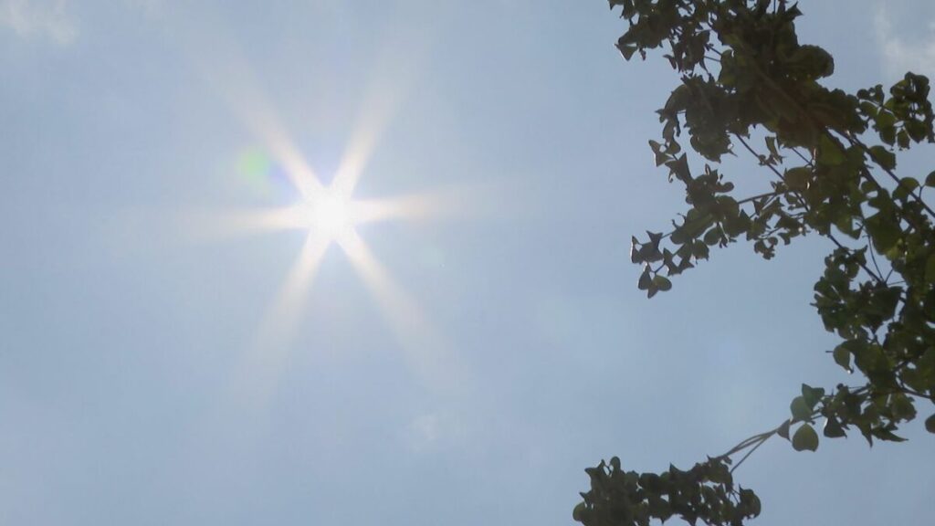 名古屋内で39℃予想　7日連続の猛暑日に　東海3県に熱中症警戒アラート - Locipo（ロキポ） 無料テレビ動画・見逃しネット配信サービス