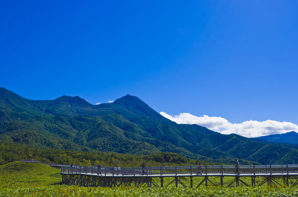 Hiker missing in Hokkaido after bear attack found dead