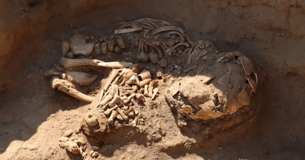 3800年前の4人の遺骨をペルーの神聖な寺院跡で発見。さらなる遺骨が埋まっている可能性も | ARTnews JAPAN（アートニュースジャパン）