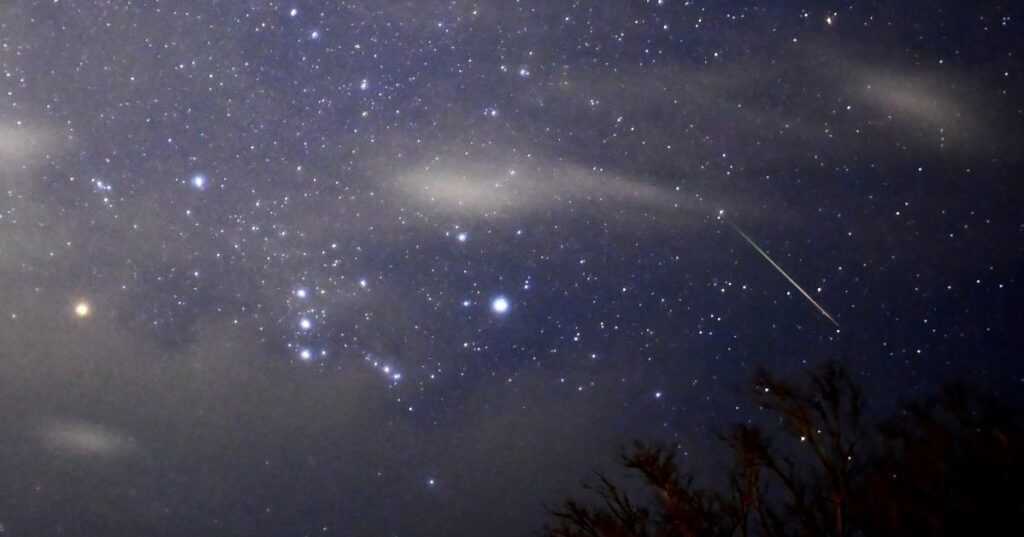 【ライブ配信】ペルセウス座流星群、今夜が出現のピーク 12日午後10時から中継 沖縄・南城市 - 琉球新報デジタル