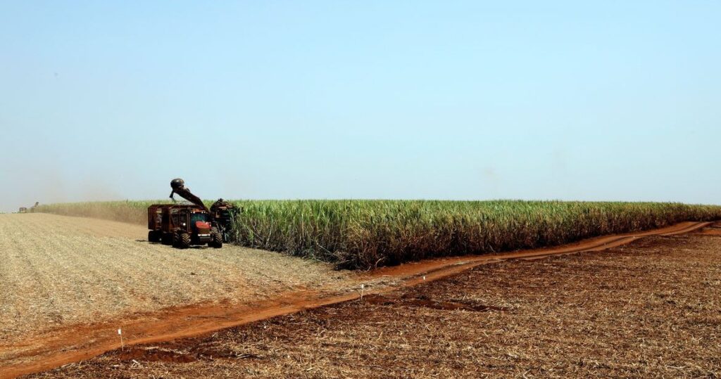 Brazil: China halts soy imports from five companies for alleged pesticide contamination; companies did not respond to Brasil de Fato