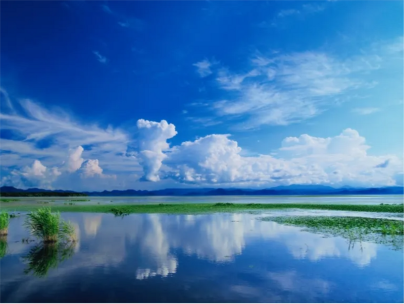 Lake Inawashiro in Fukushima Prefecture Registered as Wetlands Under Ramsar Convention | Fukushima Prefecture Nature Conservation Divisionのプレスリリース